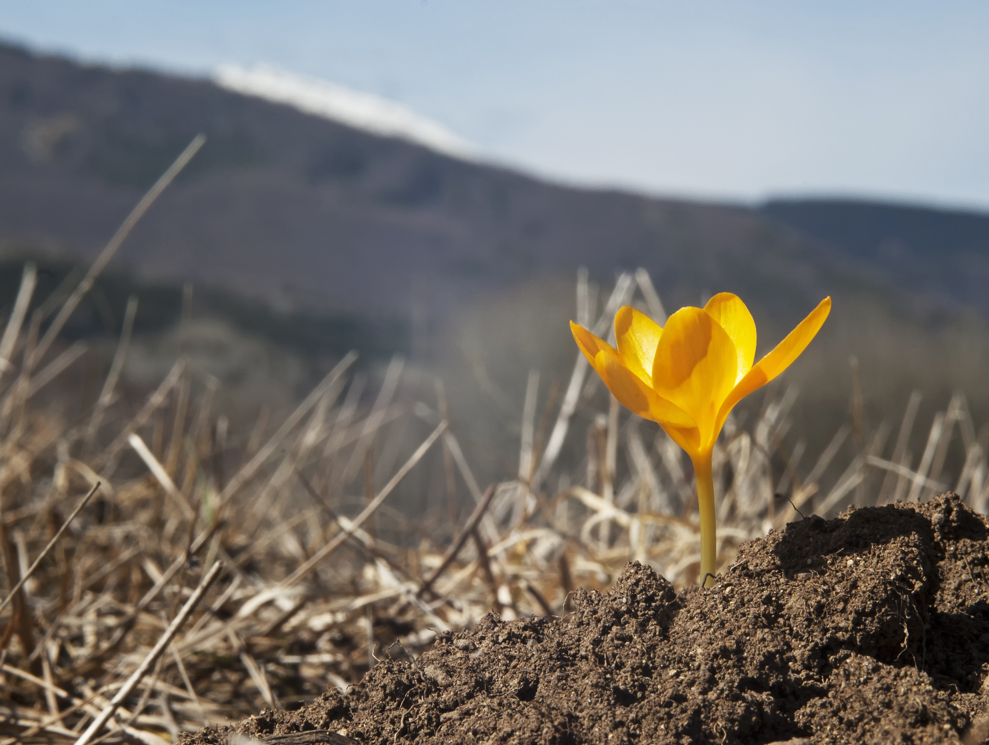 New Life Instead of Old